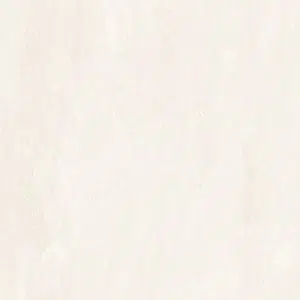 Lake Pearl White Vitrified Porcelain Paving